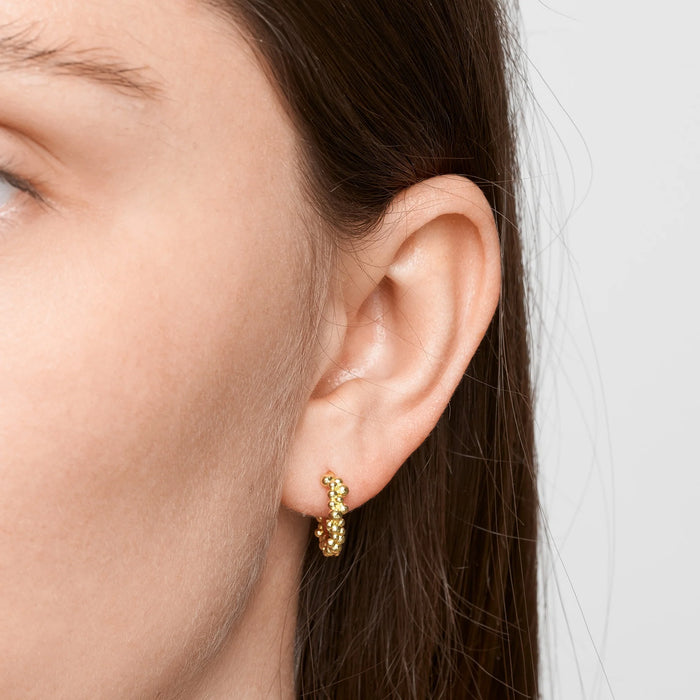 Chloe Hoops, Guldbelagt