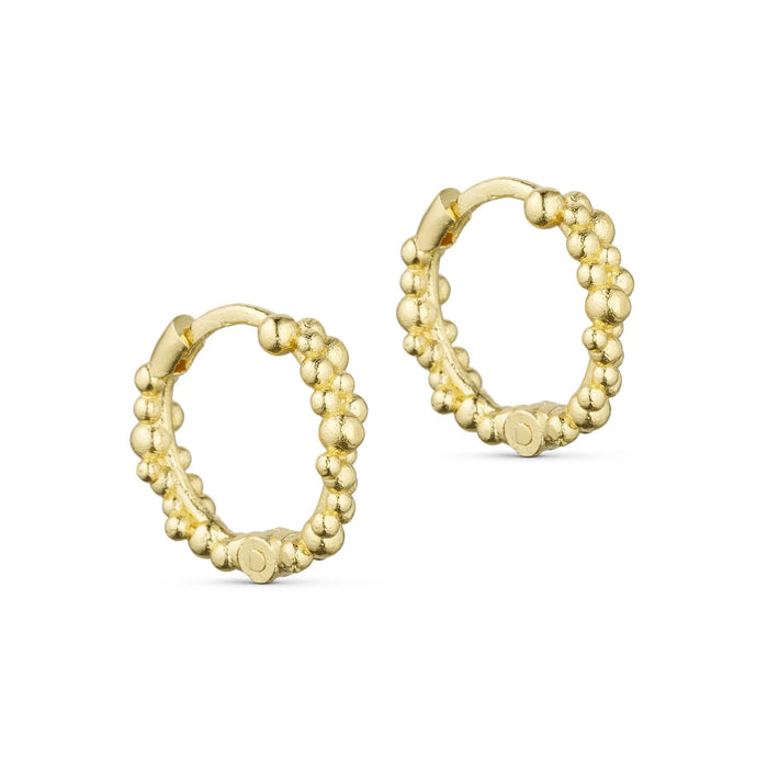 Chloe Hoops, Guldbelagt